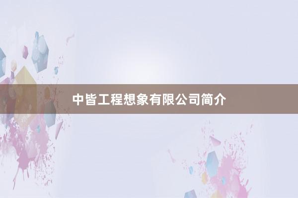 中皆工程想象有限公司简介