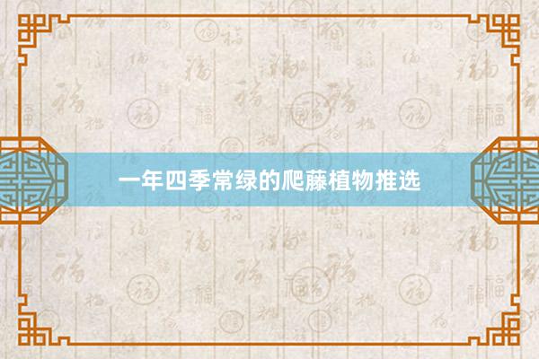 一年四季常绿的爬藤植物推选