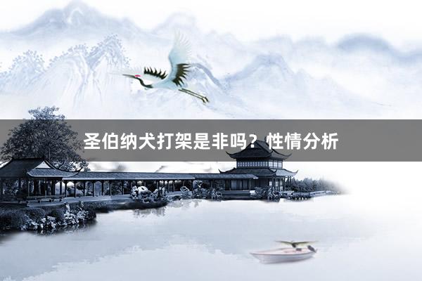 圣伯纳犬打架是非吗？性情分析